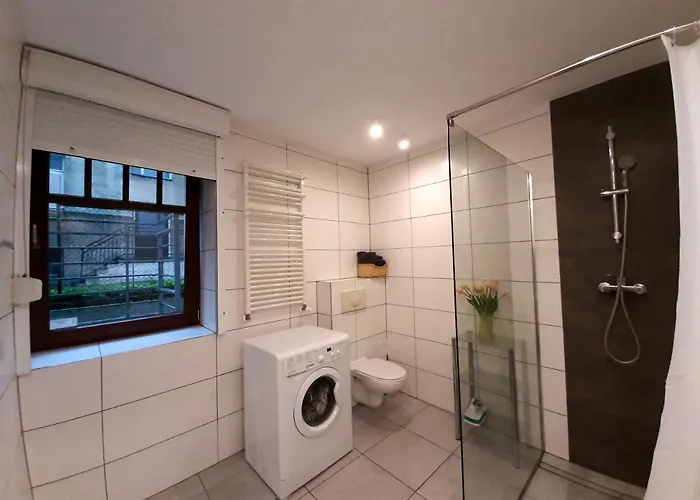 Aleksandry Przy Parku * シフィノウイシチェ