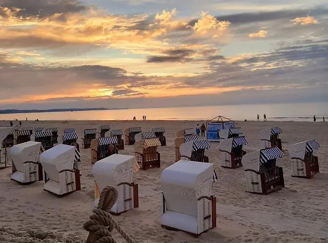 Aleksandry Przy Parku * シフィノウイシチェ